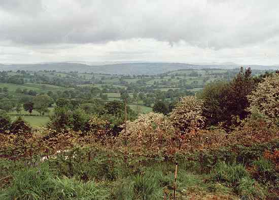 Shropshire landscape